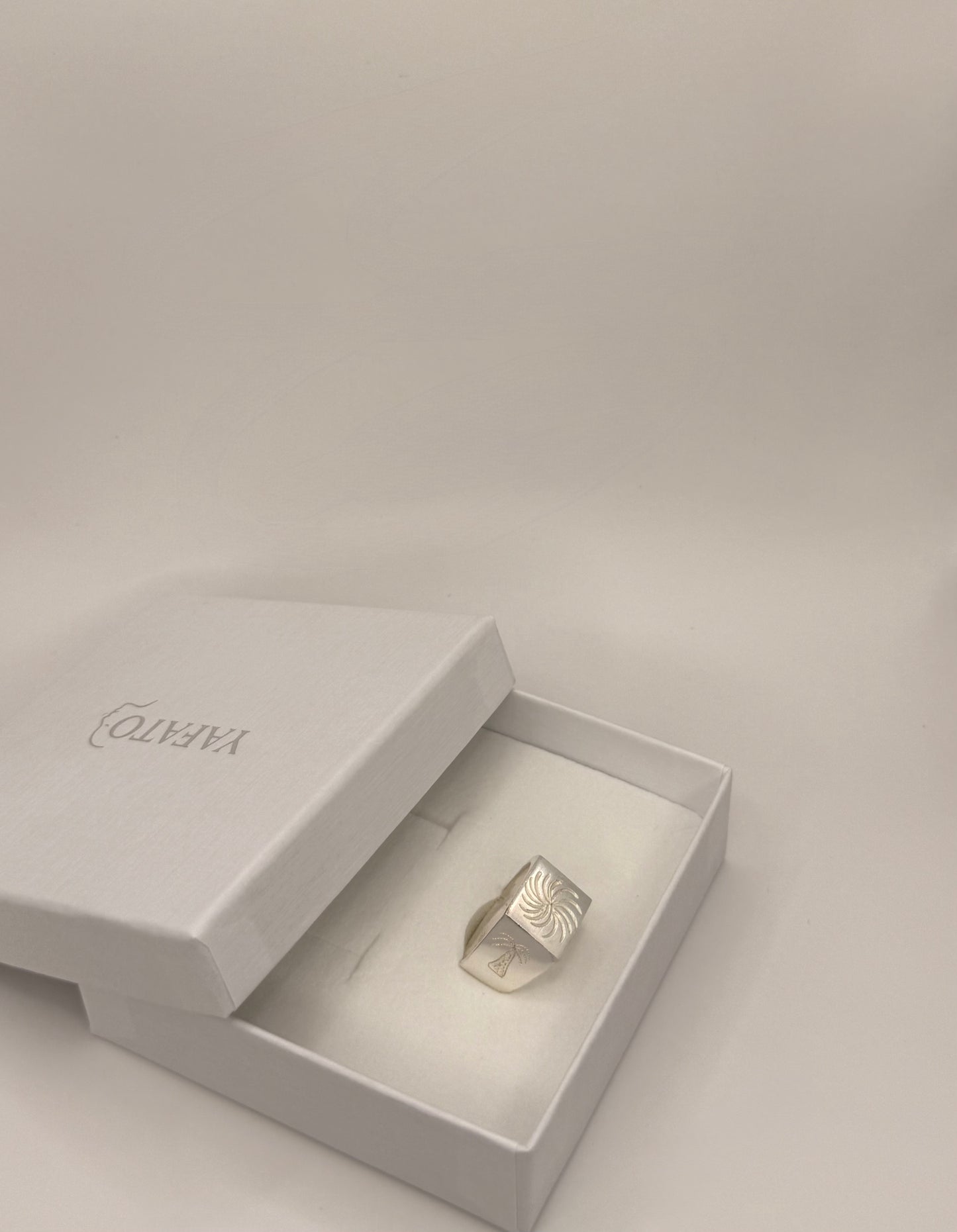 Silver ring in a white box on a light gray background