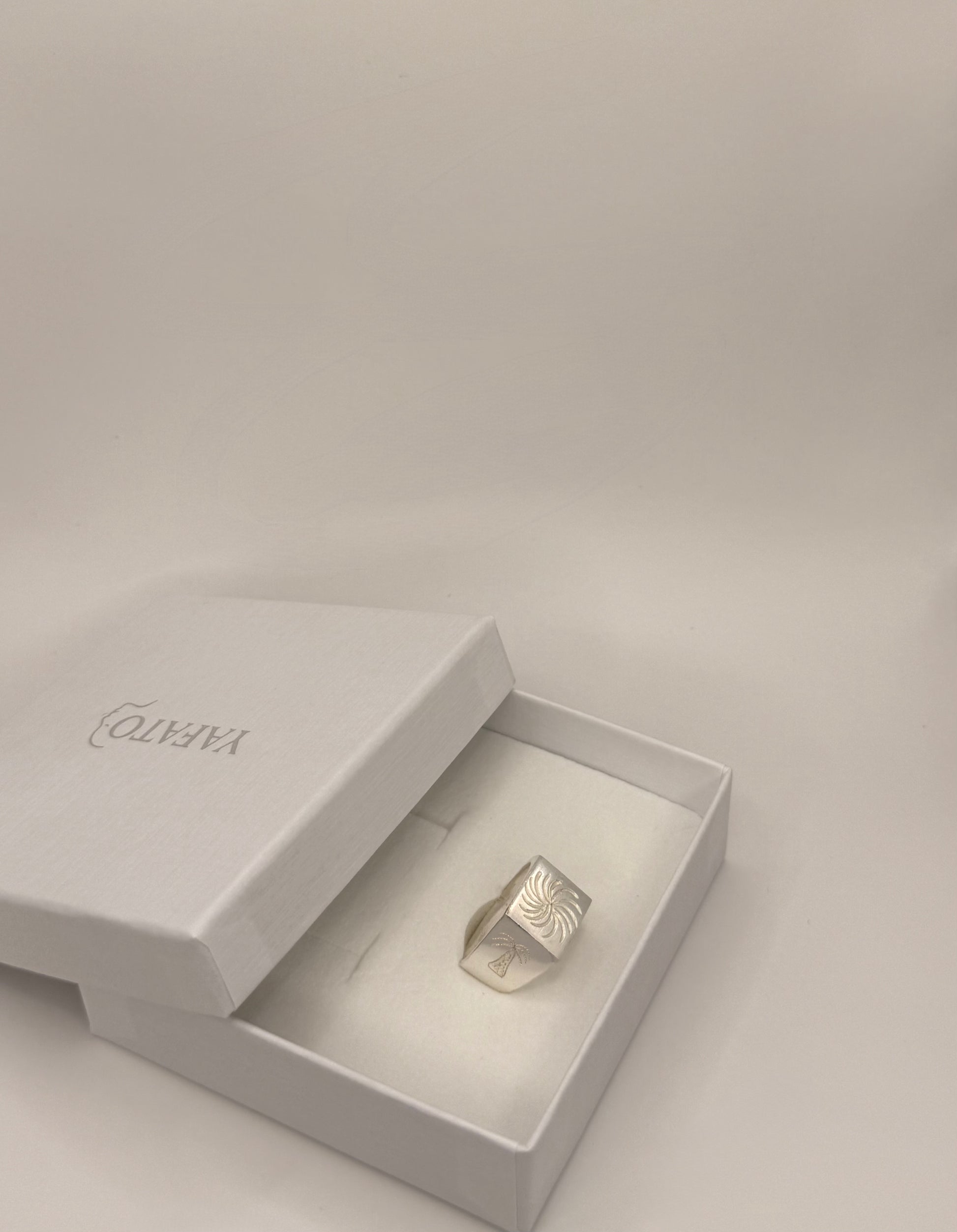 Silver ring in a white box on a light gray background