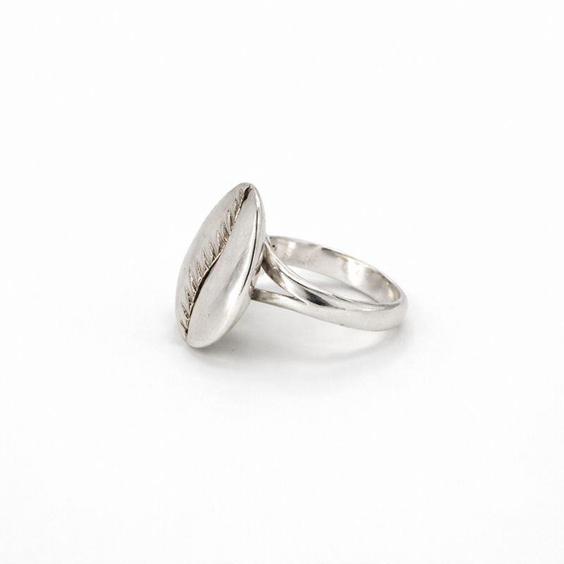 cowrie  silver rings on a white background